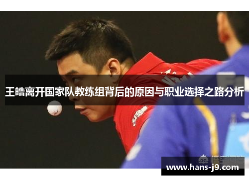 王皓离开国家队教练组背后的原因与职业选择之路分析