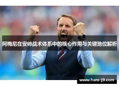 阿梅尼在安帅战术体系中的核心作用与关键地位解析