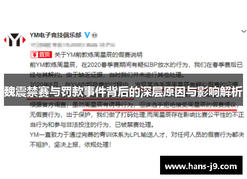 魏震禁赛与罚款事件背后的深层原因与影响解析 魏震禁赛与罚款事件背后的深层原因与影响解析
